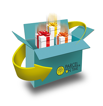 parcel on time paquete